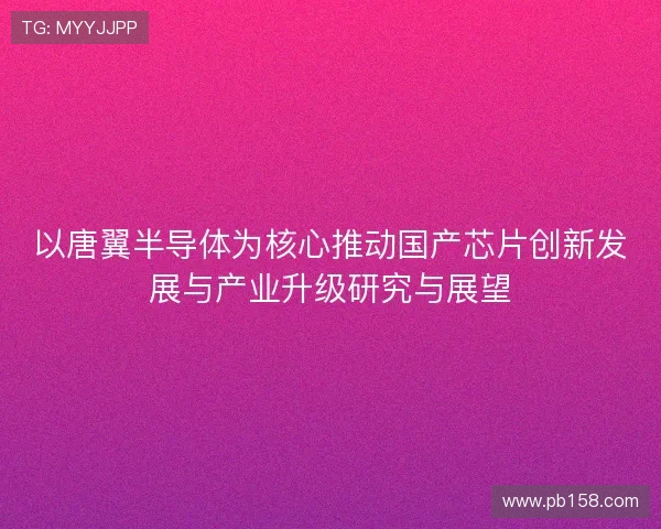 以唐翼半导体为核心推动国产芯片创新发展与产业升级研究与展望